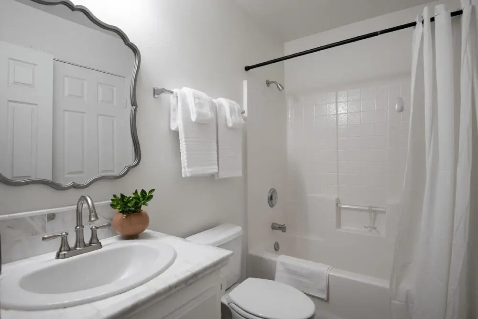 Selecta Ave - Fauna in Yucca Valley