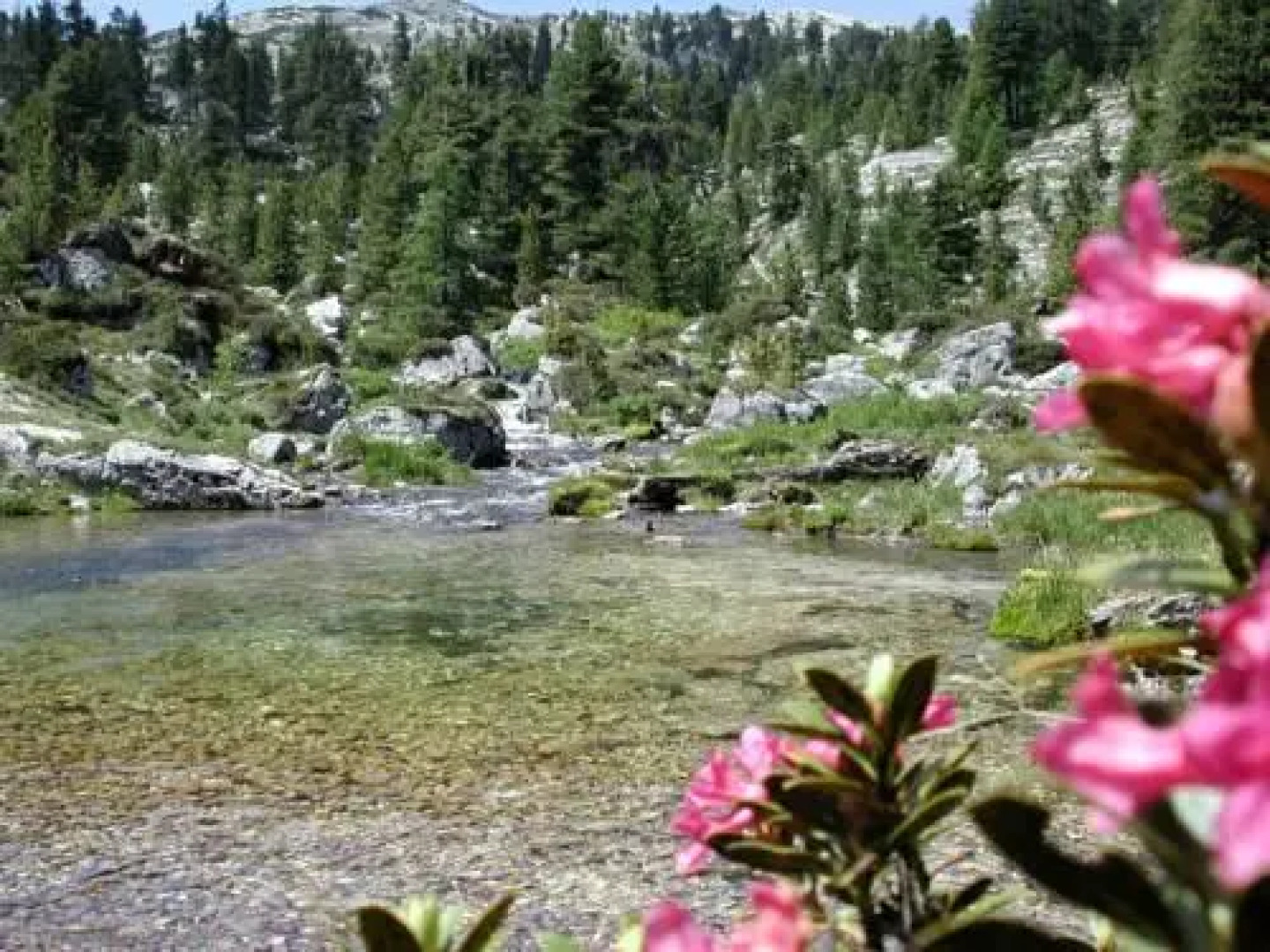 Piccolo Hotel Claudia