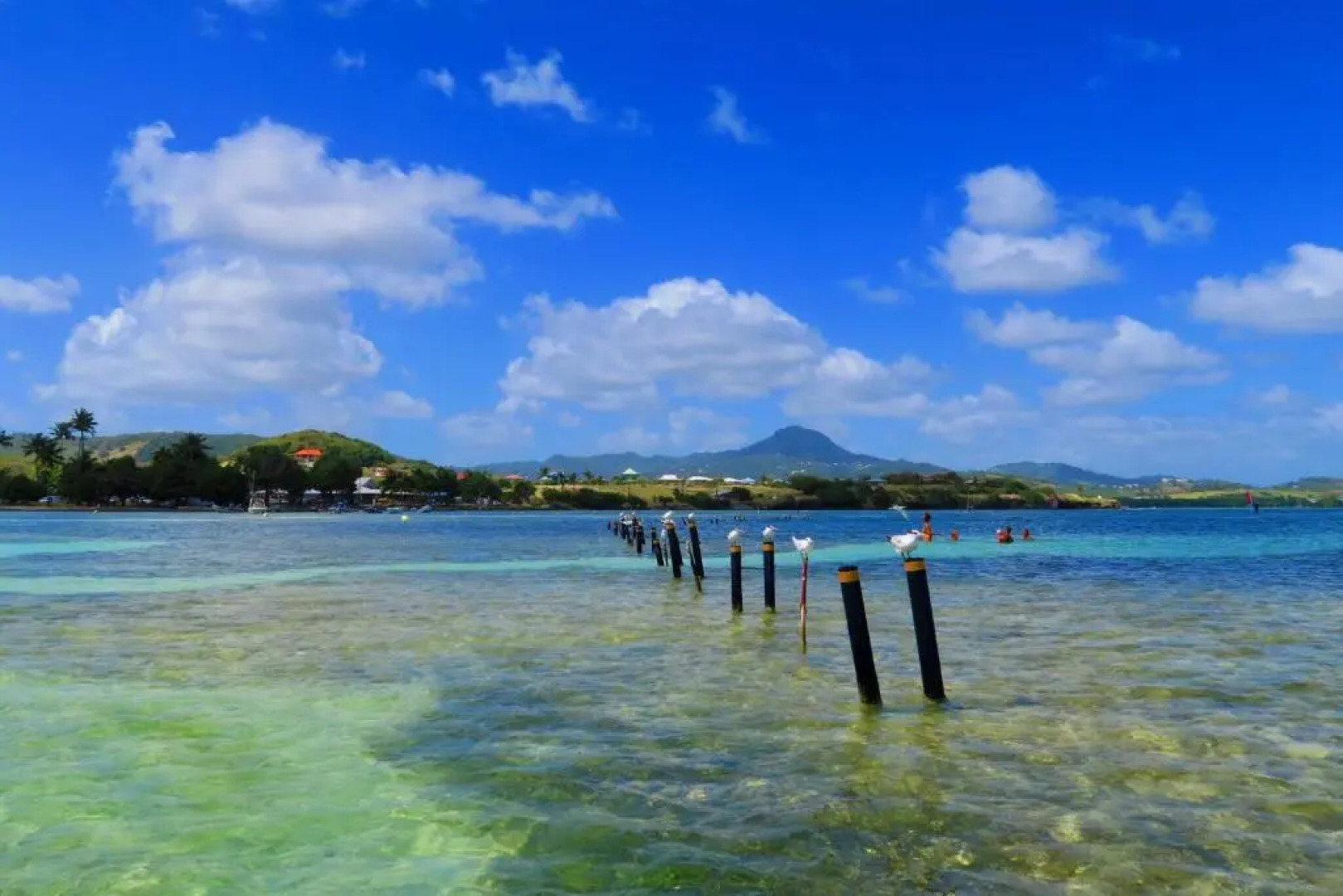 Studio Bwa Banbou dans Villa Fleurs des Iles