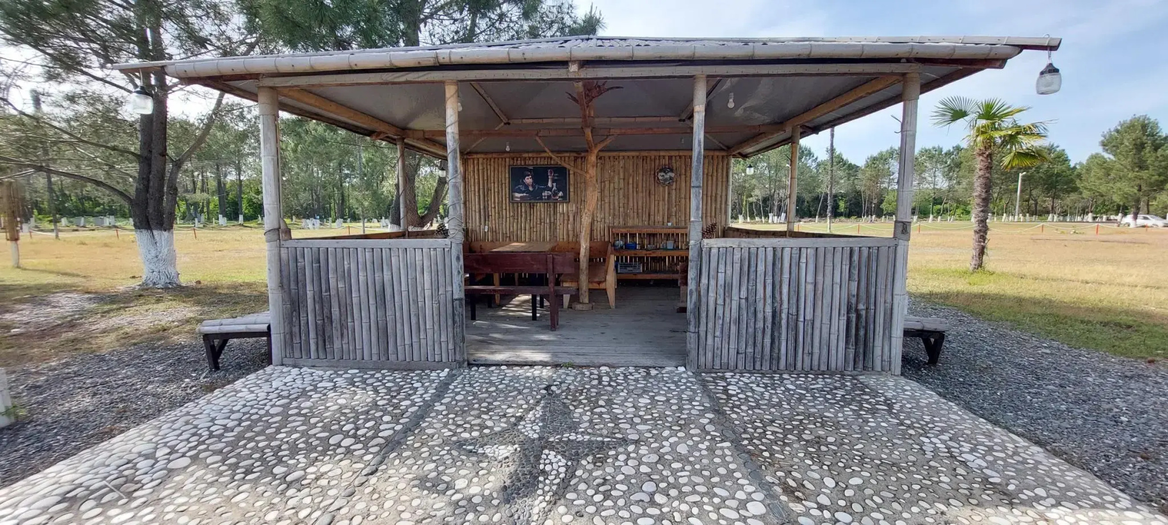 База отдыха Сосновый бор