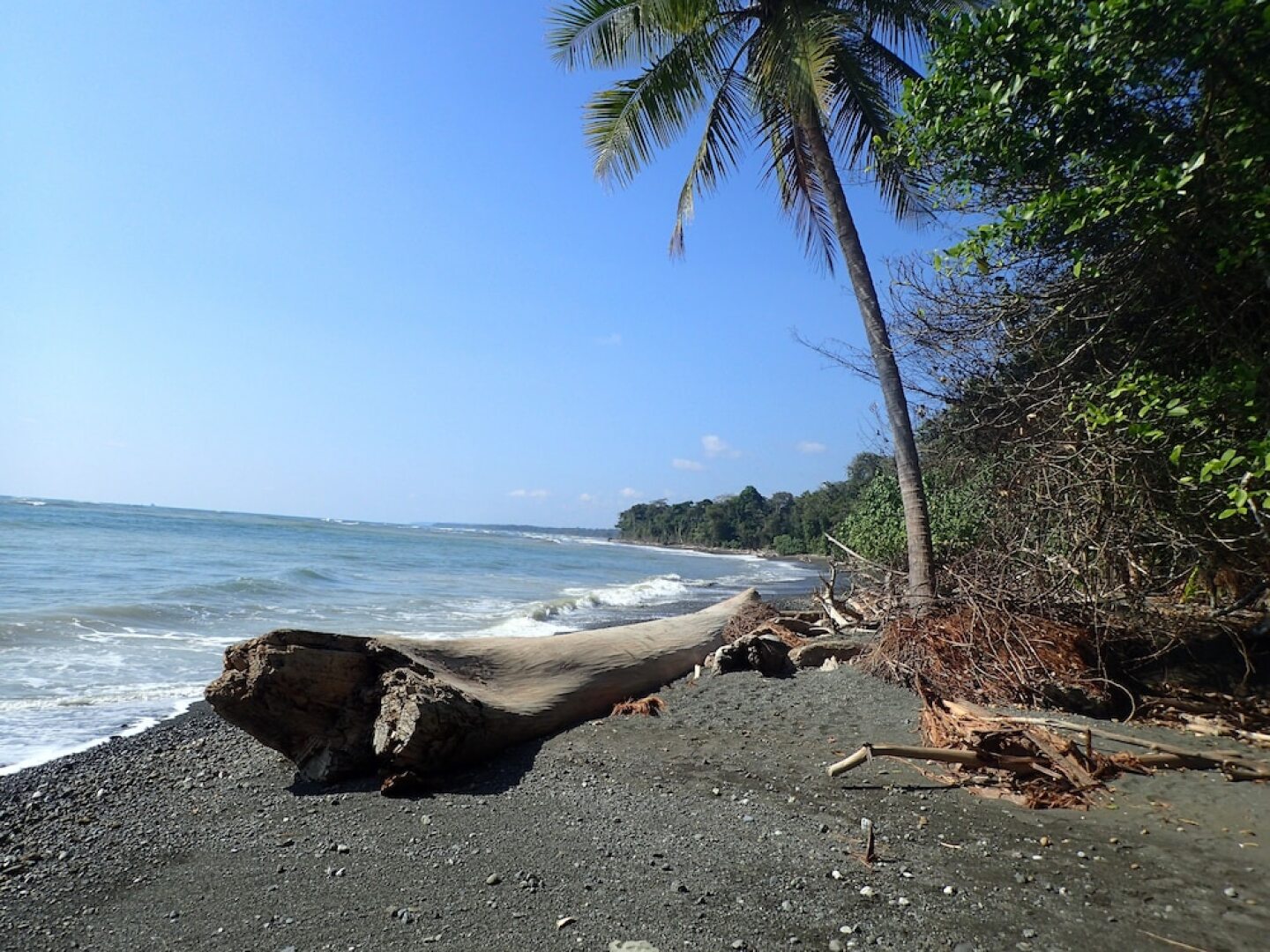 Iguana Lodge Beach Resort