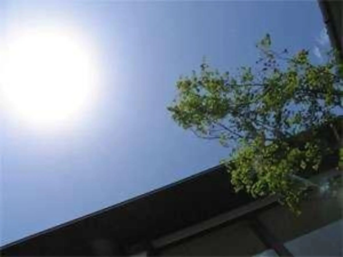 Nagomiyado Shinwaso Kaishin