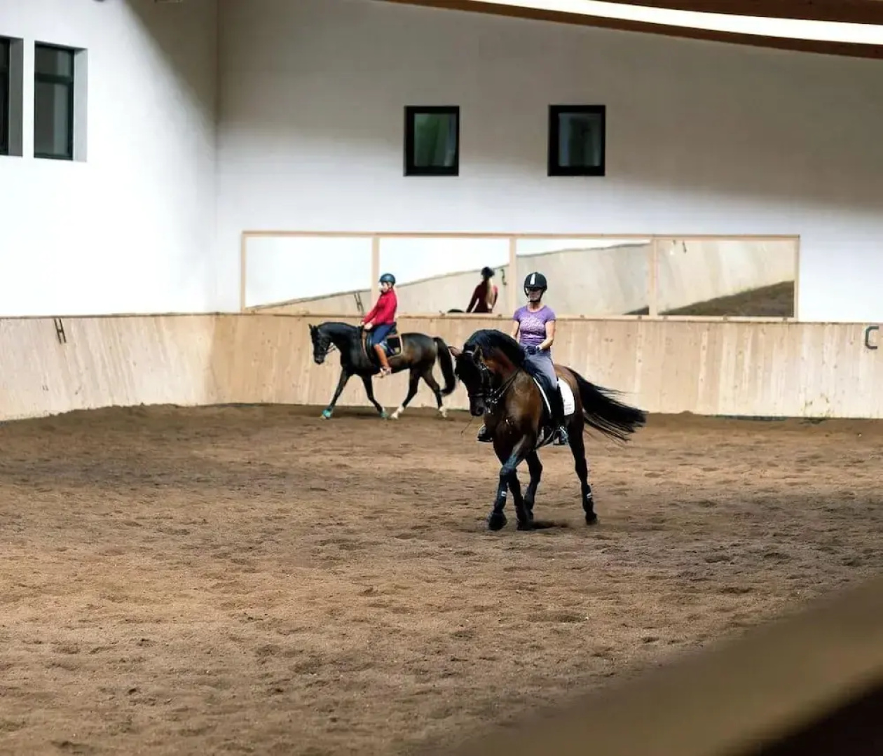 Reit-und Sporthotel Nordmann