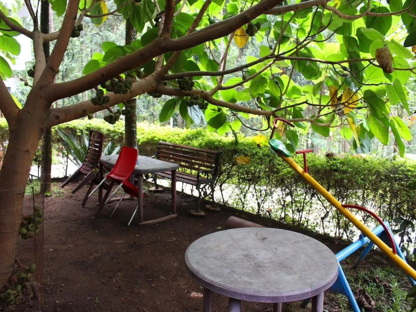 OYO 14807 Hotel Yercaud The Raintrees