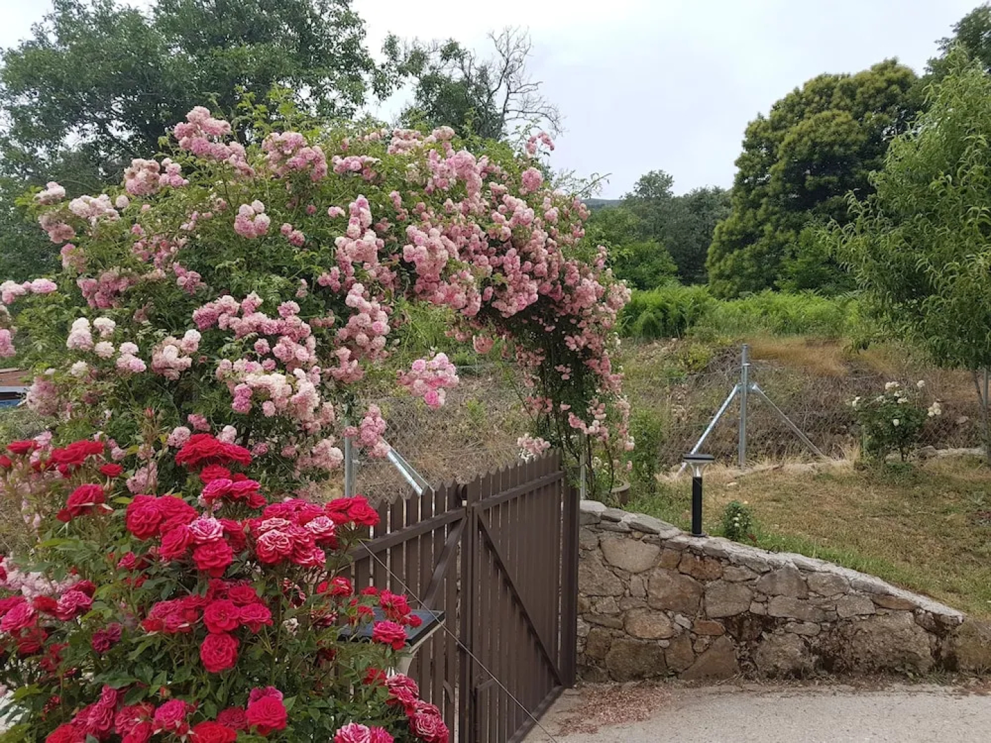 Casa Rural El Castaño