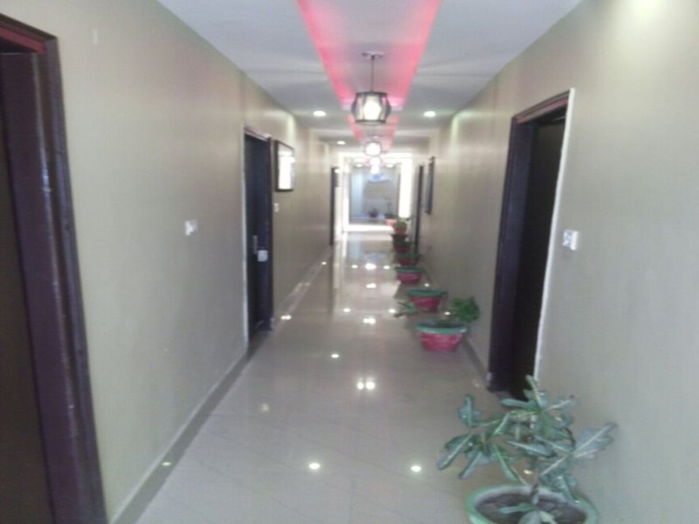 Treebo New Park Premium Plaza