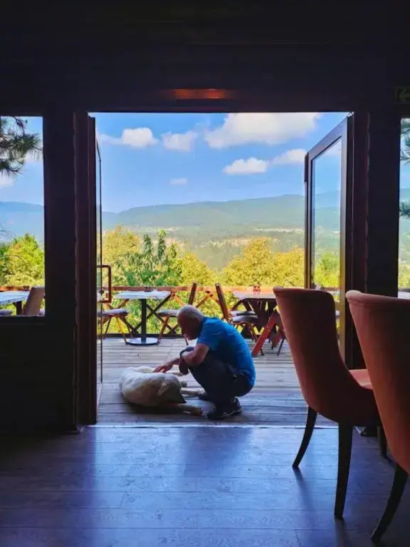 Campinari Doga Evleri & Restaurant