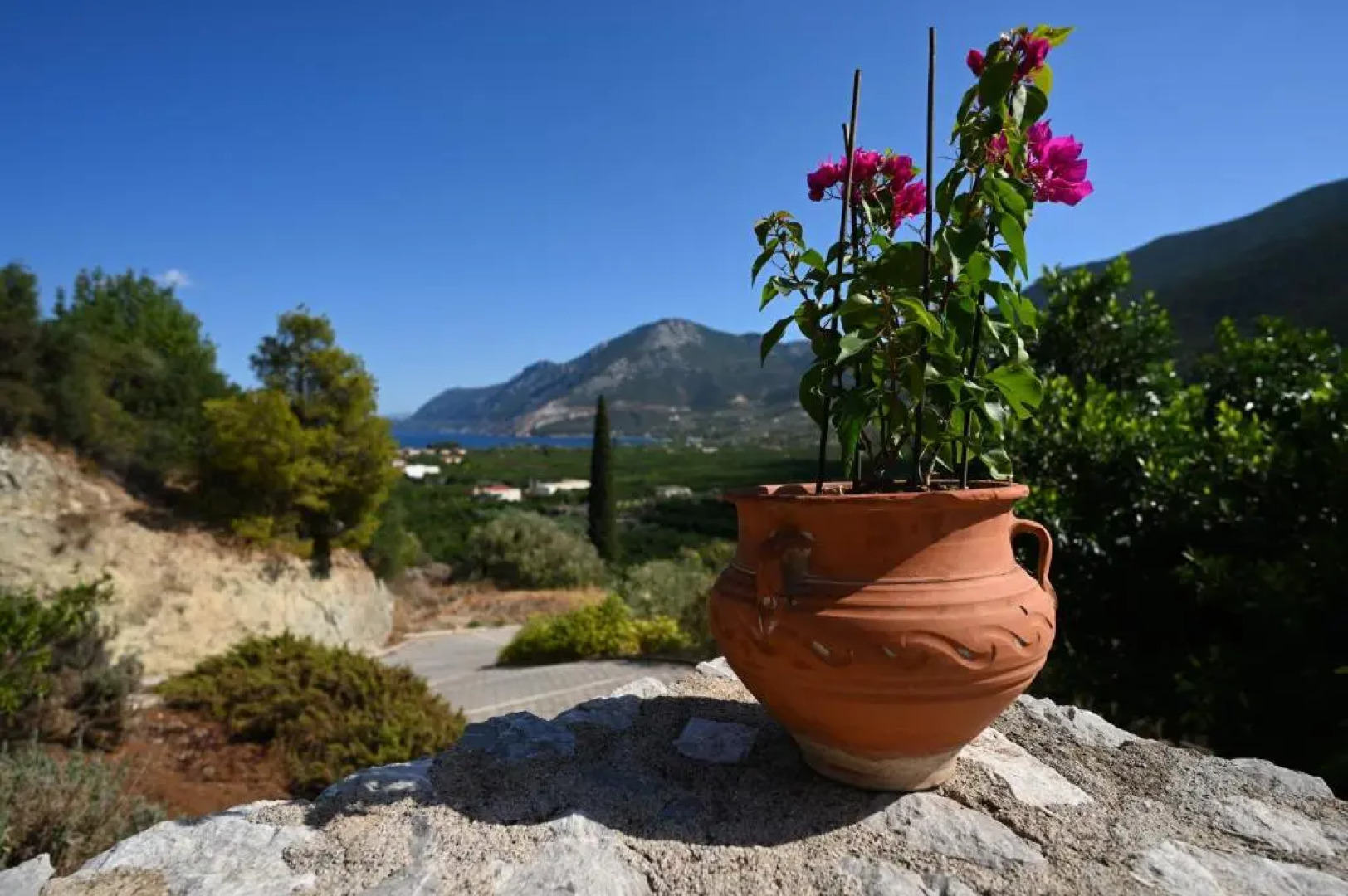 Melissafarm Guest House