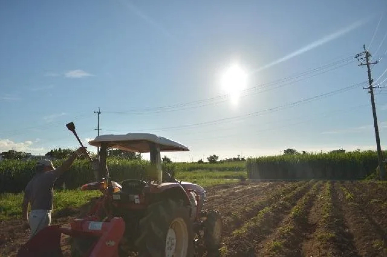 star light terrace TERUYA