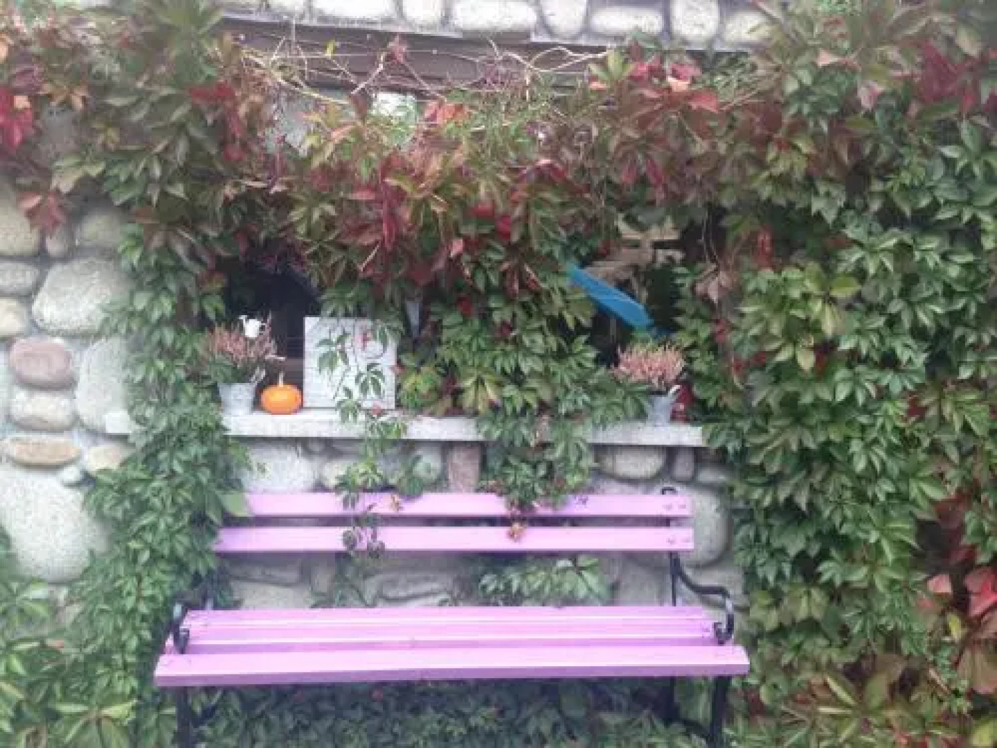 Dom Wypoczynkowy Karolina