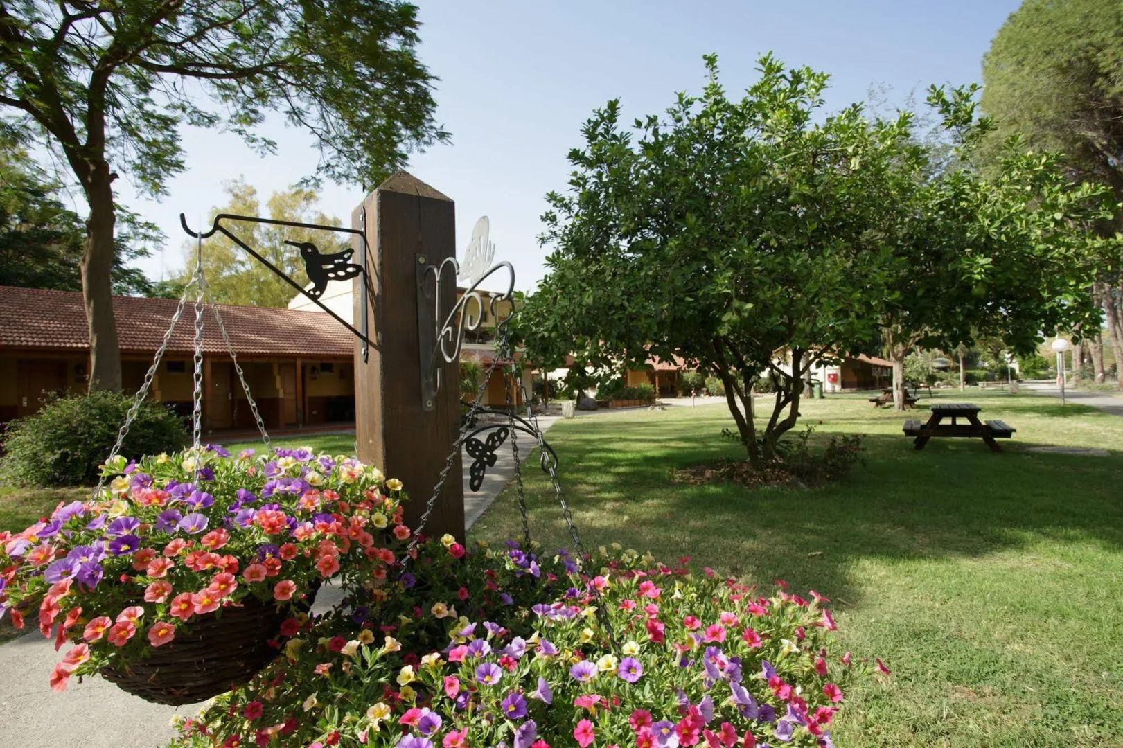 Ginosar Village Kibbutz