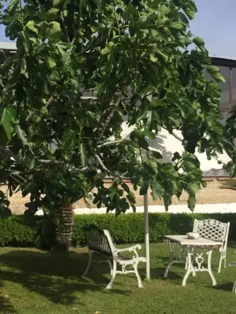 Zia Bi Bed and Breakfast