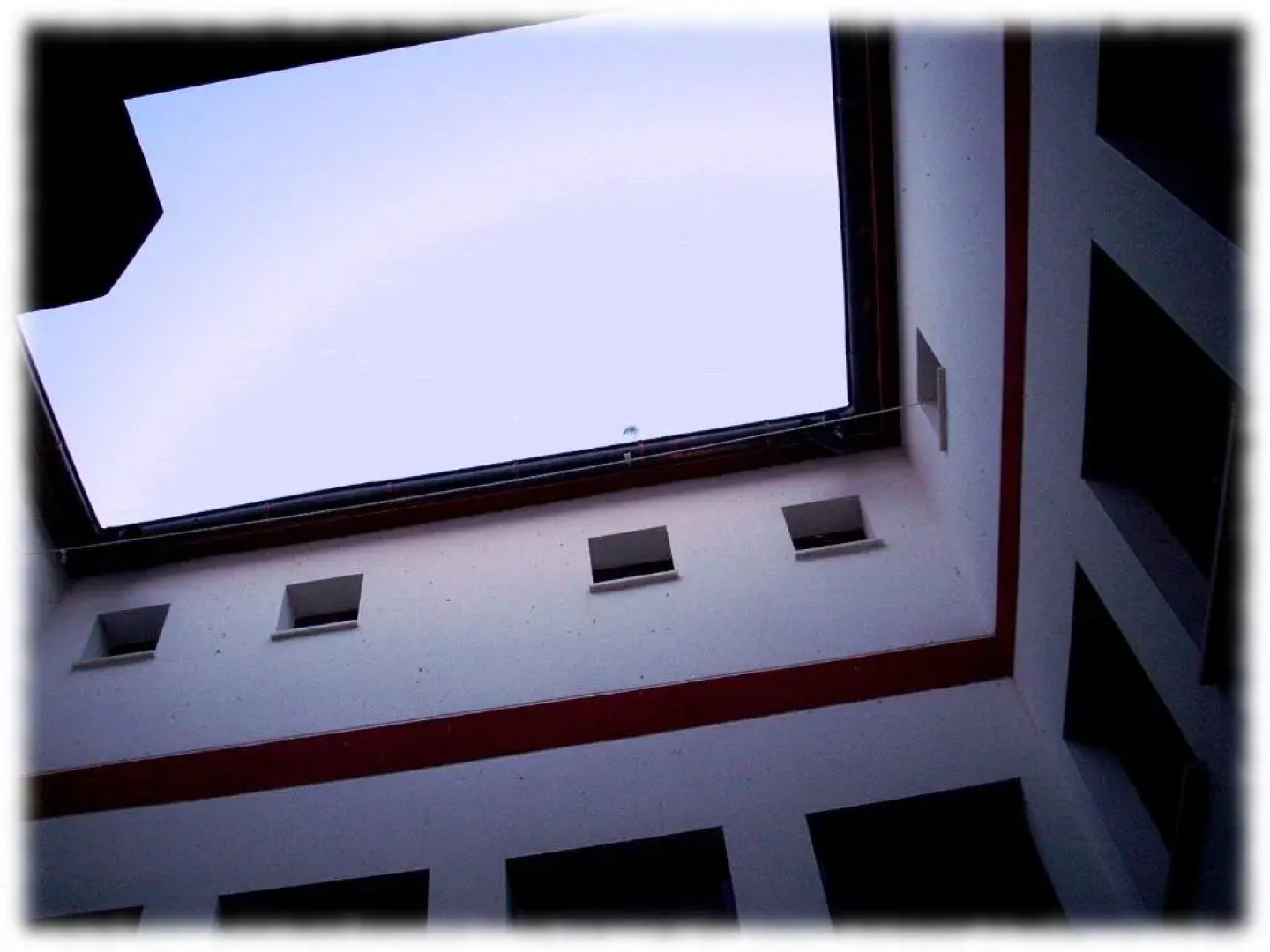 Centro Ornitológico El Primillar