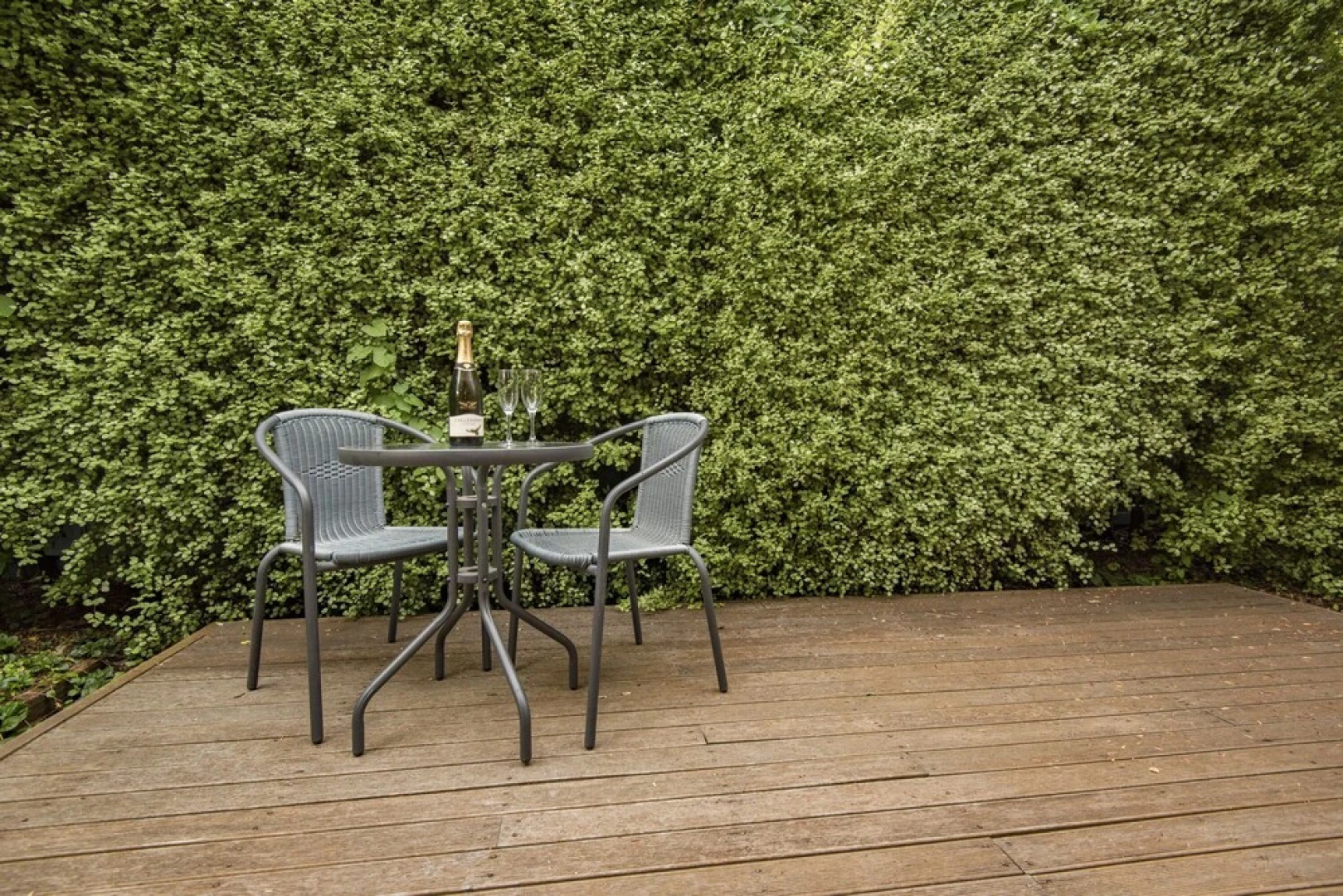 Earle Street Apartment