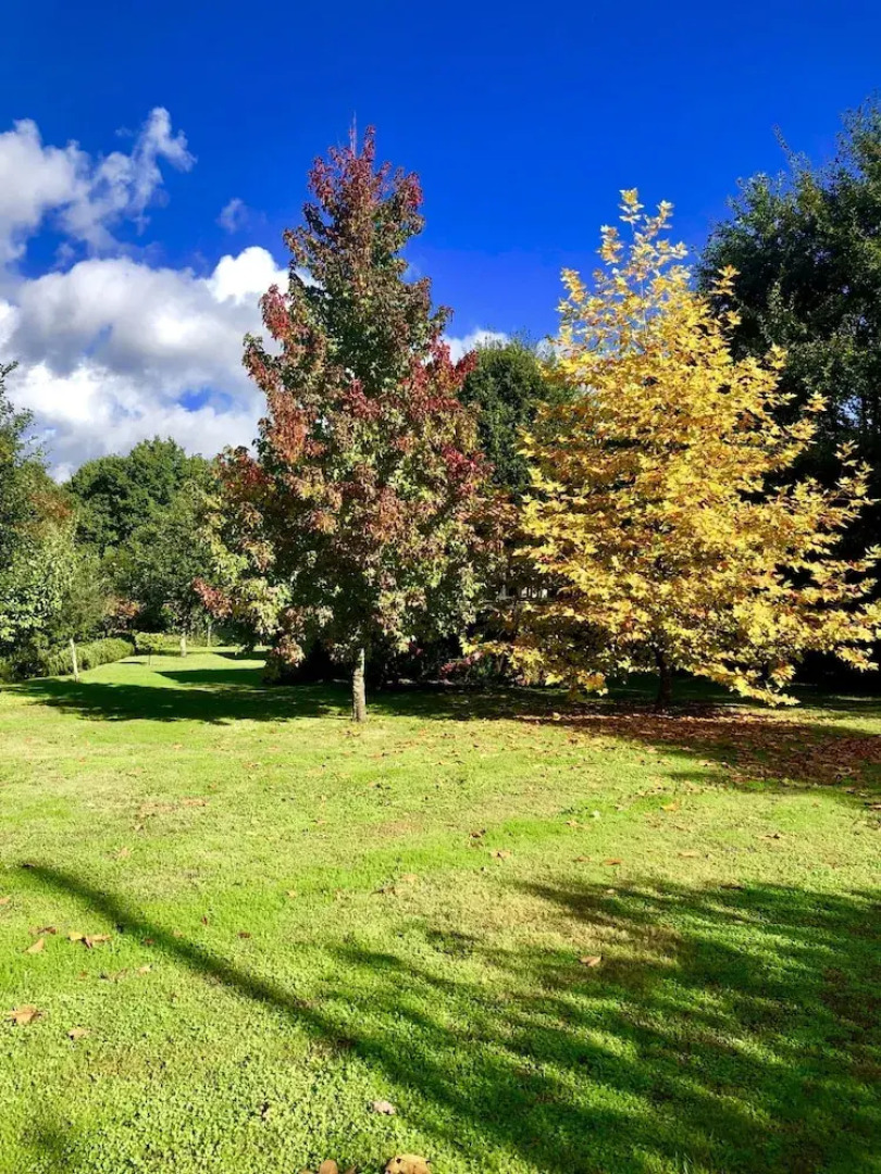 Tree Pool Villa in Arcos de Valdevez