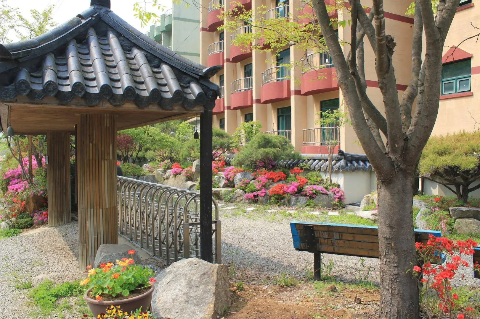 Egg House Cheongpyeong