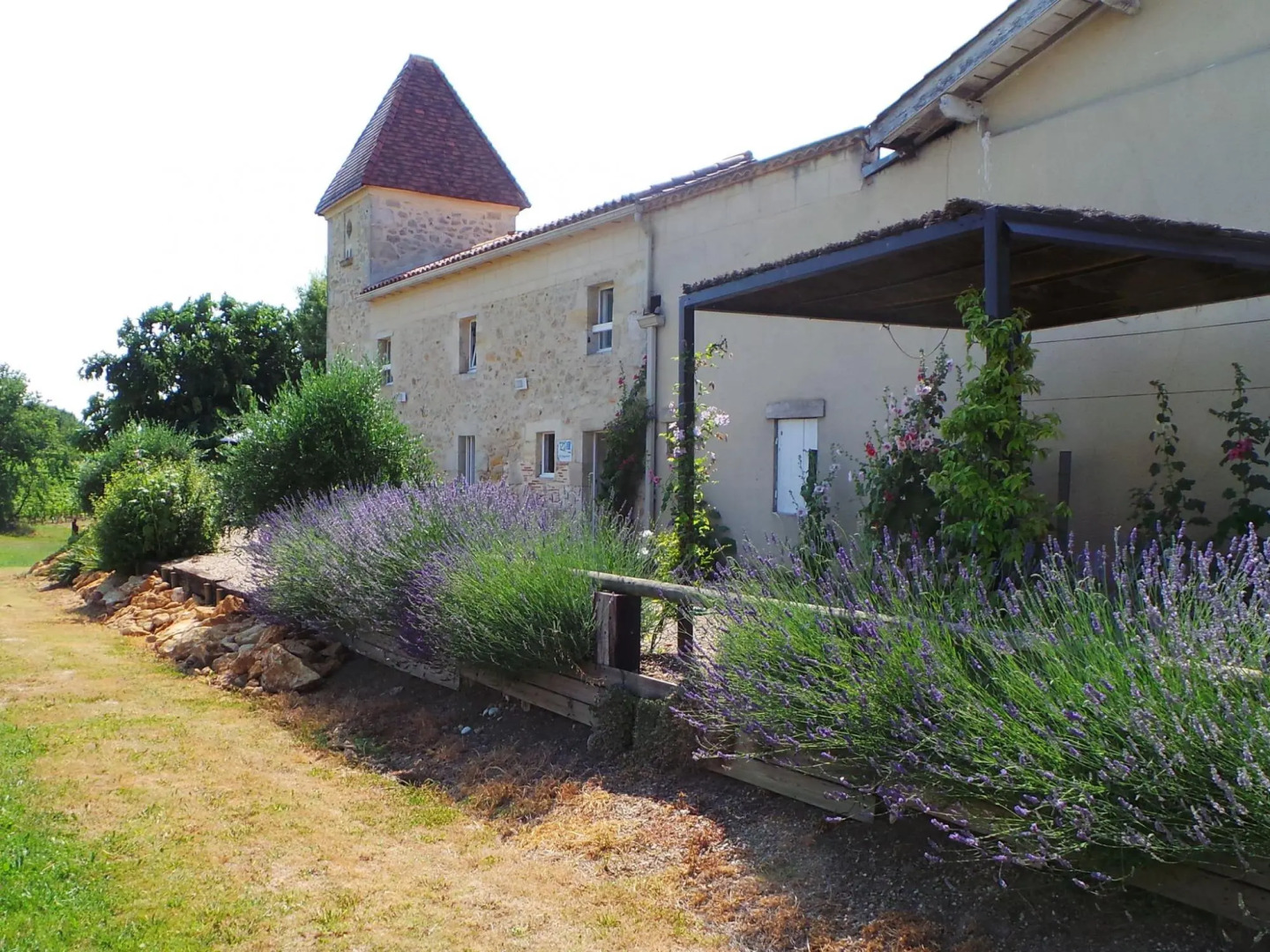 Renovated Dovecot With Pool, in the Vineyards Near Bordeaux