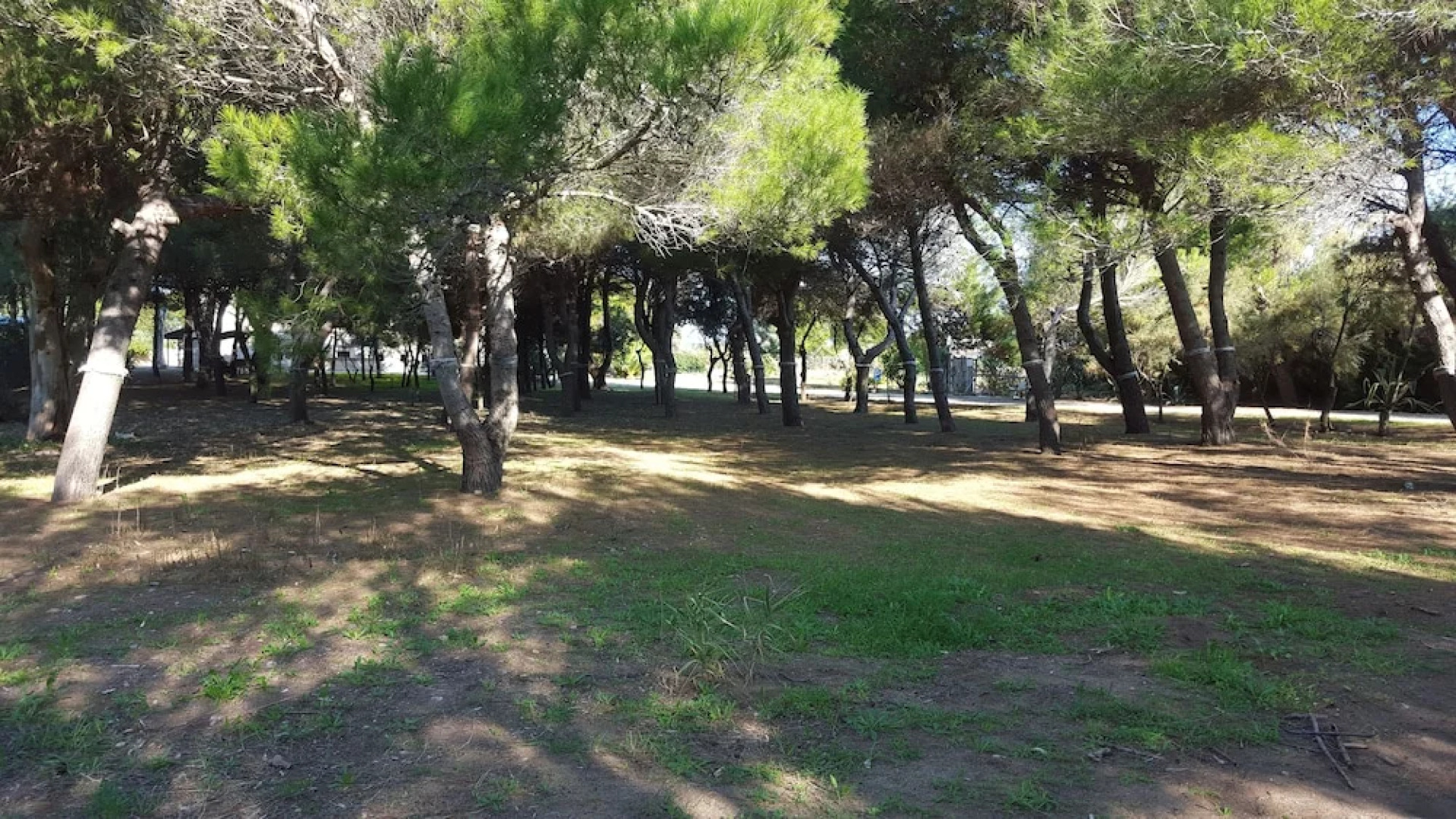 Villa Boschetto B&B - Apartments