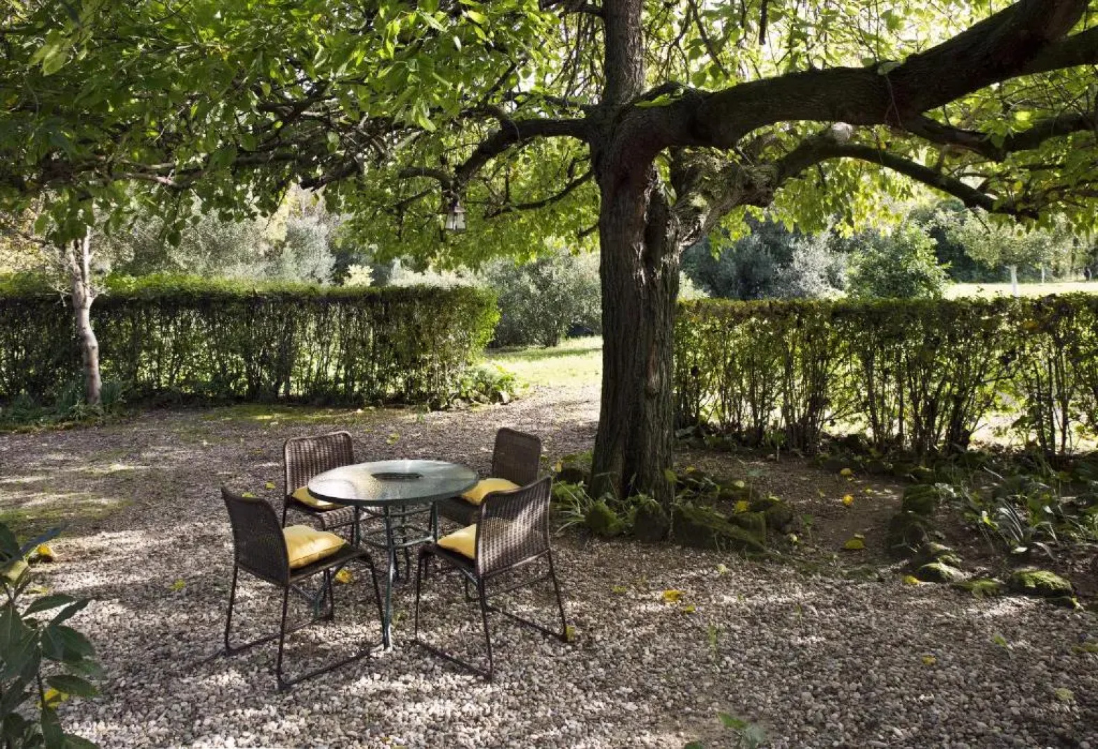 Alojamientos Rurales Cuevas del Pino