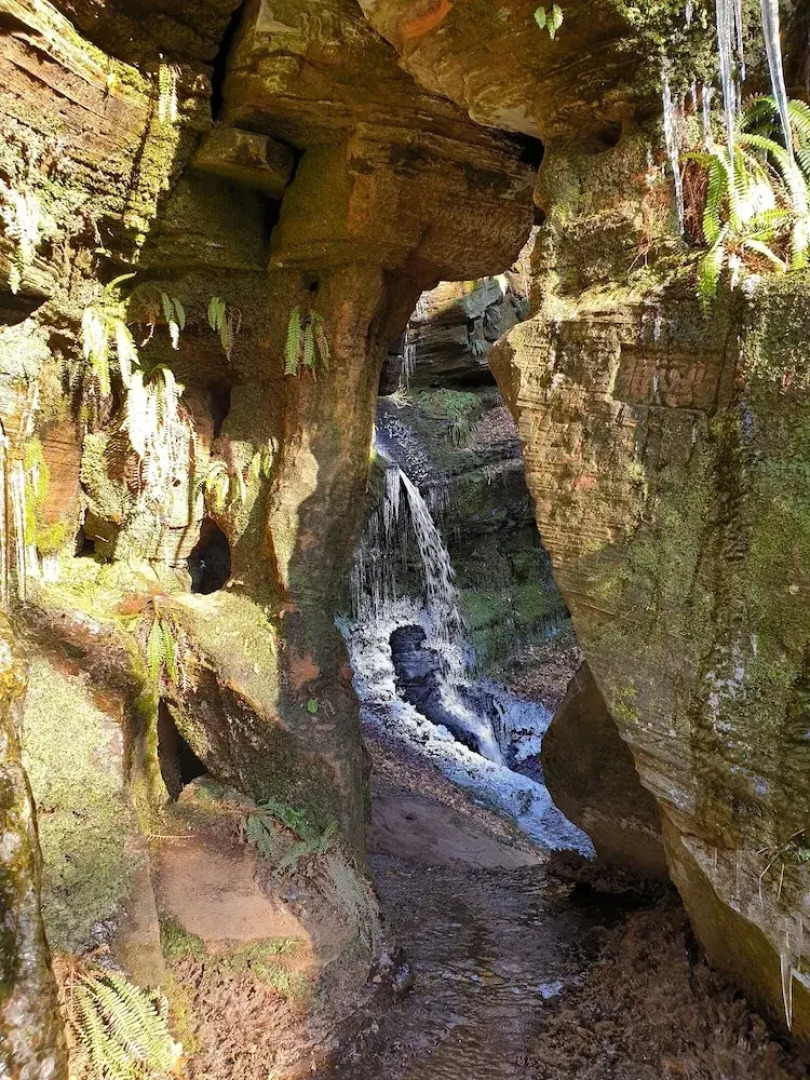 Cosy Wood Cabin in Rural Area Near National Park