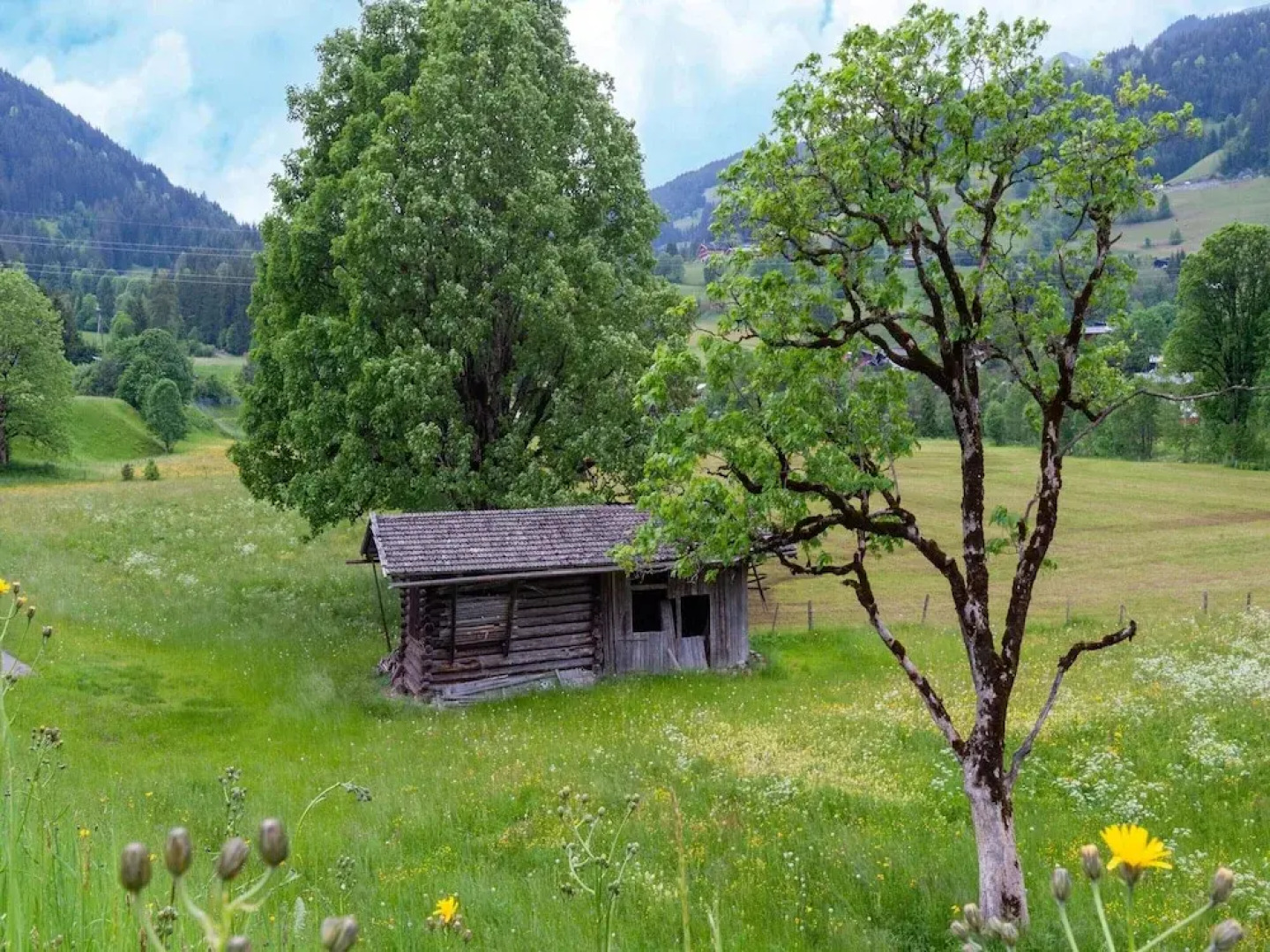 Apartment in Tyrol Near Kitzbuhel