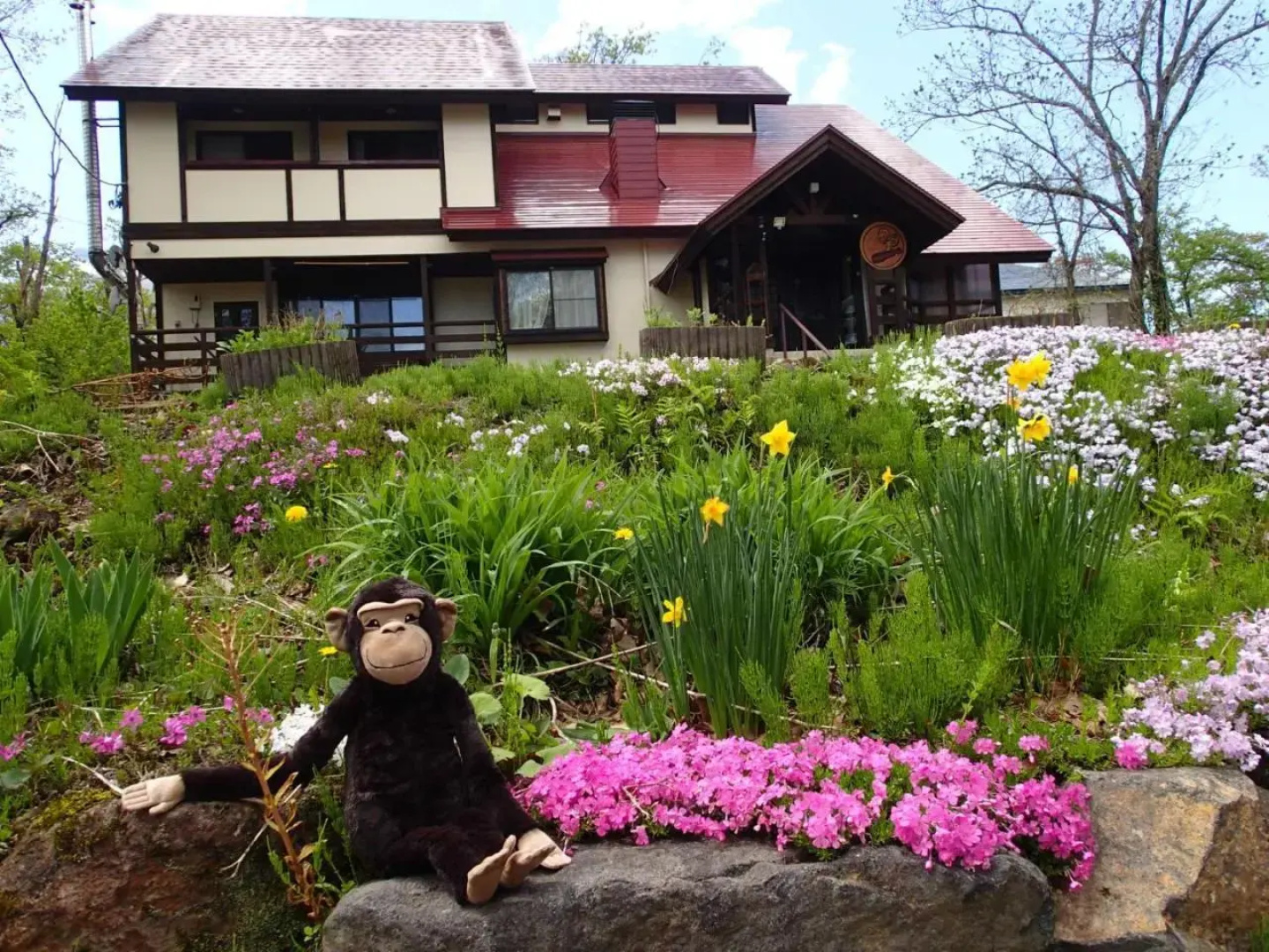 Funky Monkey Lodge, Myoko ファンキーモンキーロッジ 妙高