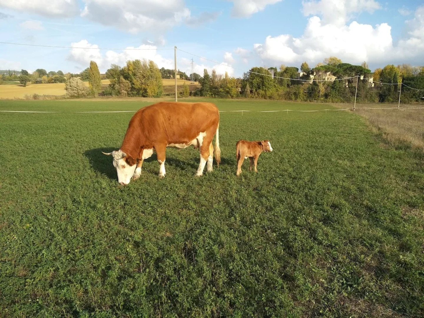 Agriturismo Fattoria Didattica I Due Mondi