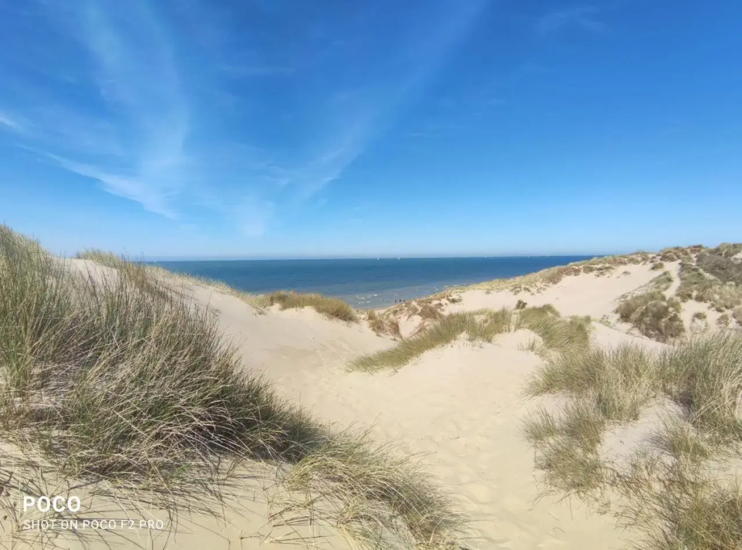 Vakantiewoning Polderhuis 10