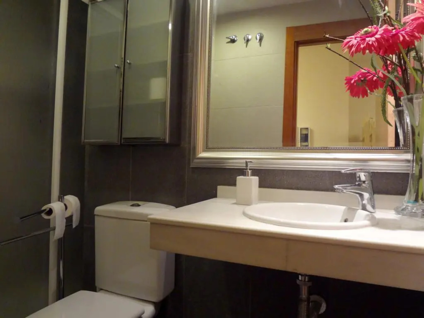 Apartamentos Serraneu ASN