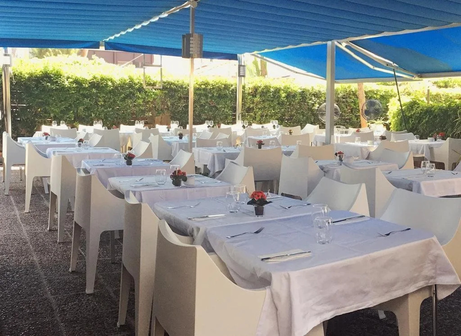 Aparthotel Solifemar