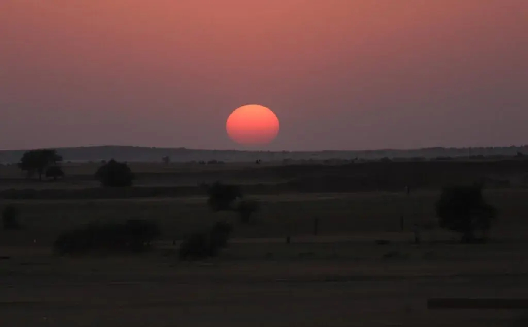 Royal Desert Safari Resort and Camp