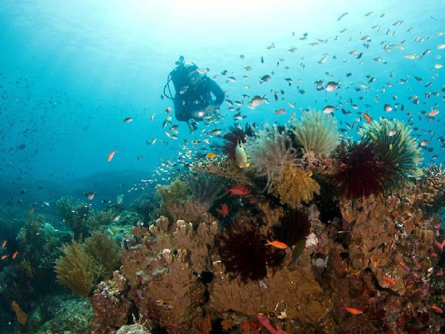 Crystal Ocean View Tulamben Hotel