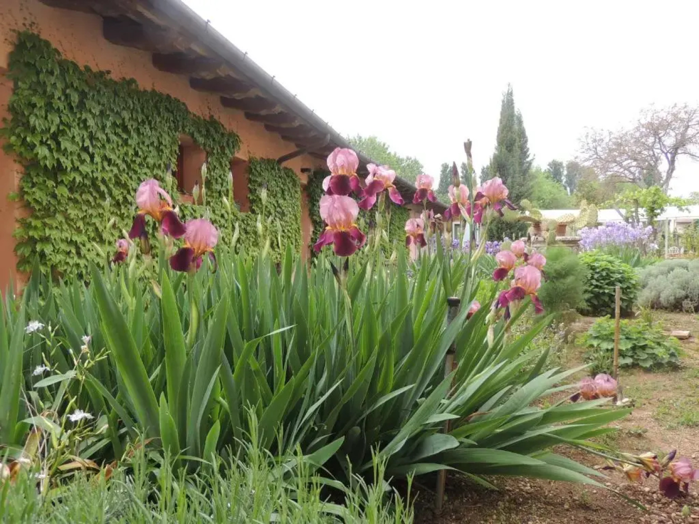 Resort Villa Manin