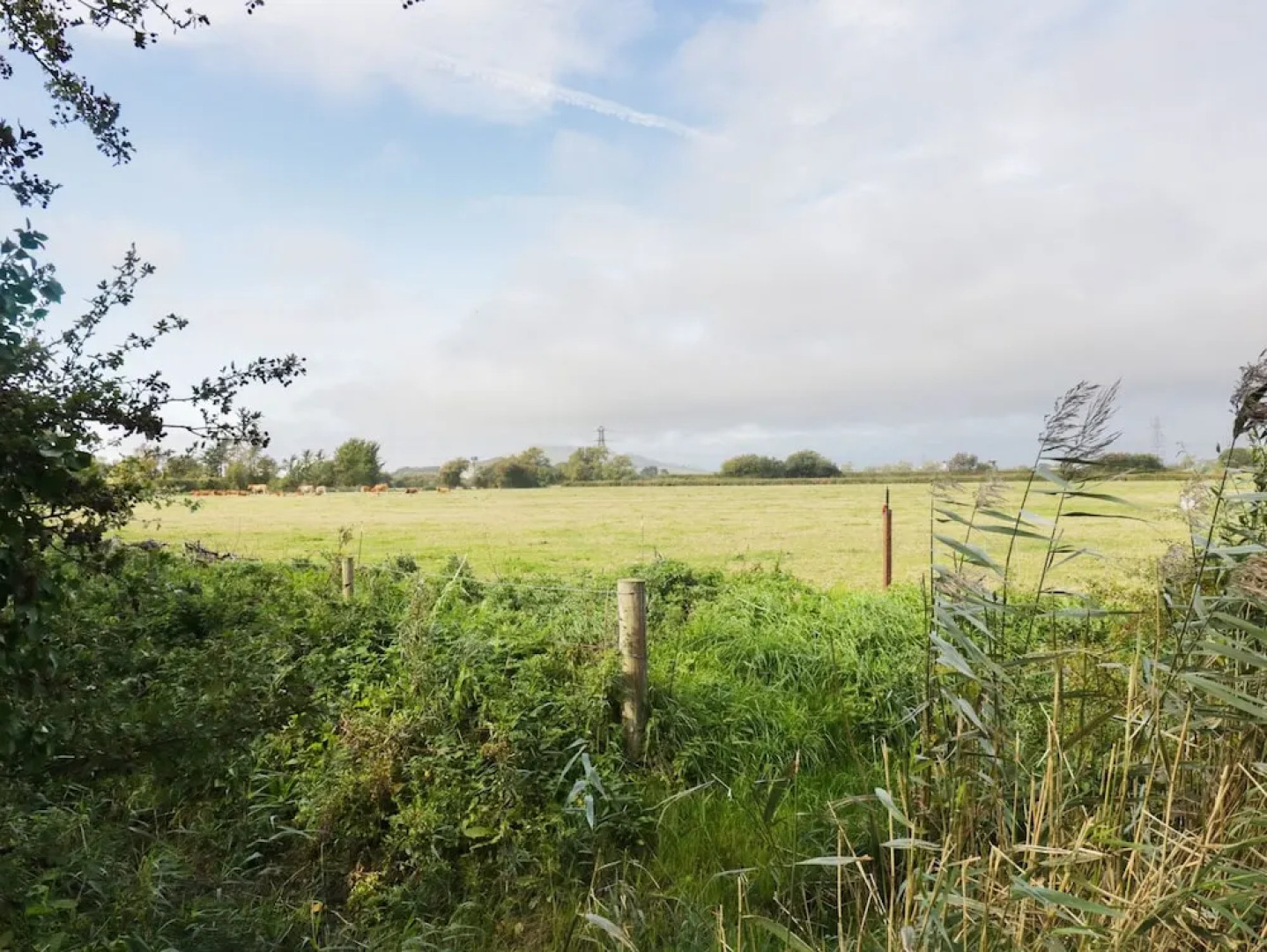 Wellfield Cottage, Highbridge