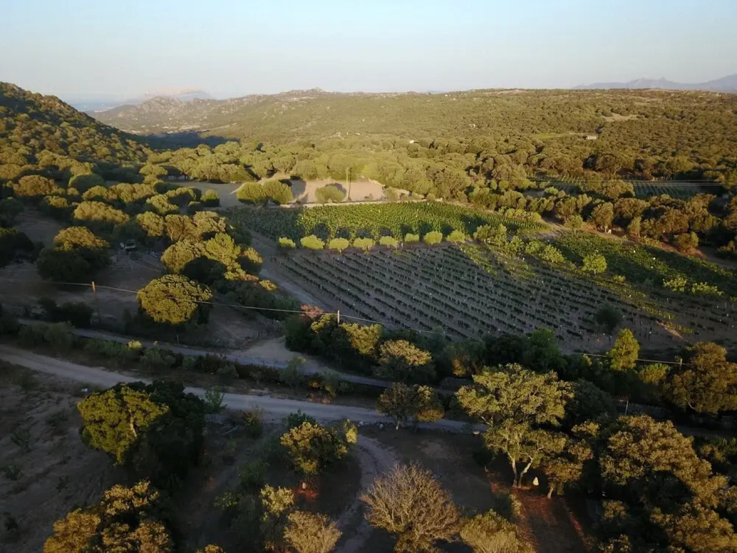 Résidence Villa Smeralda