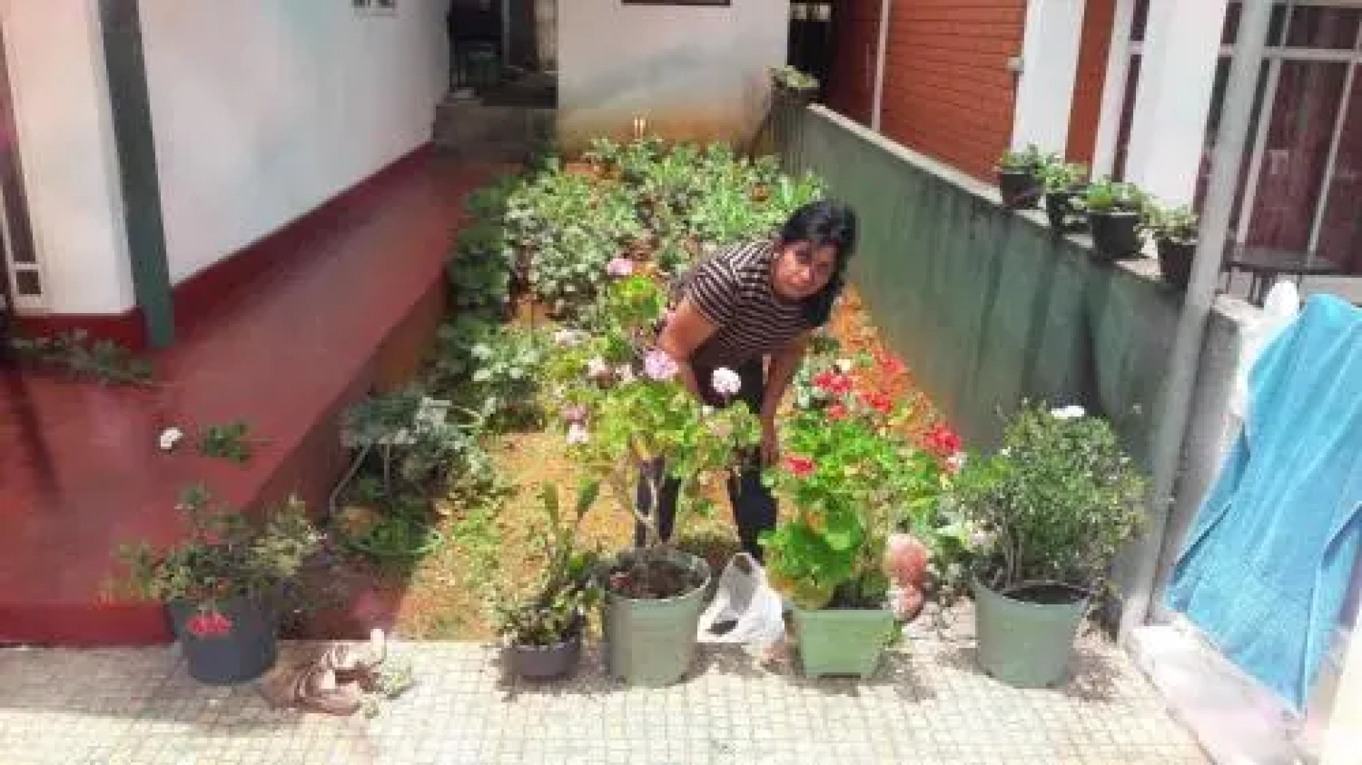 Winter Dream Holiday Bungalow Nuwara Eliya