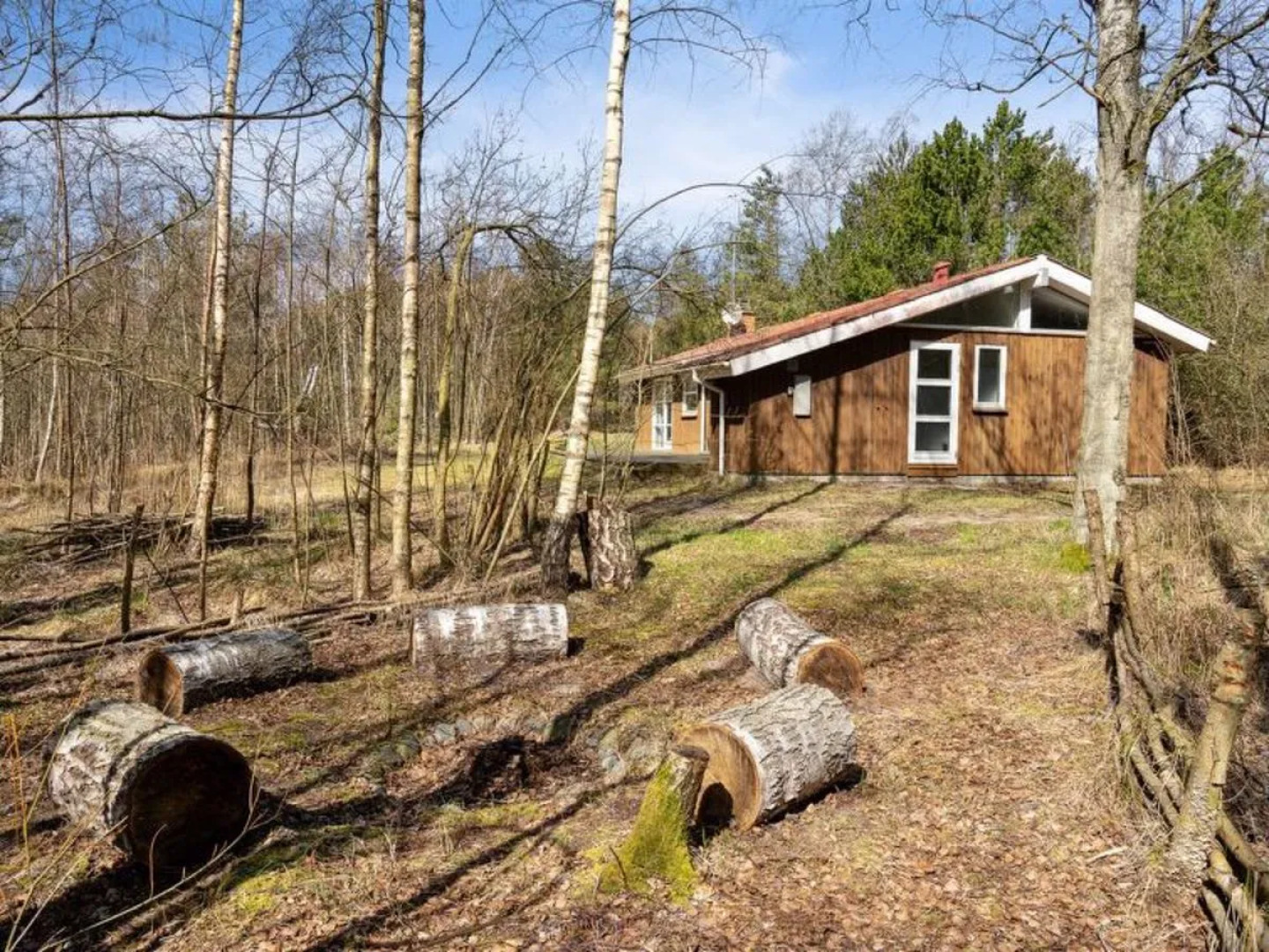 "Nicklas" - 2km from the sea in NE Jutland