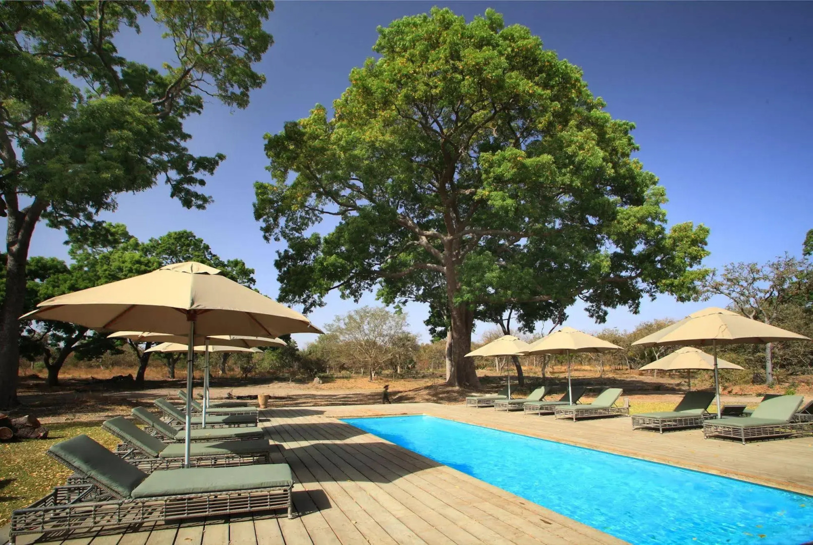 Fathala Wildlife Reserve