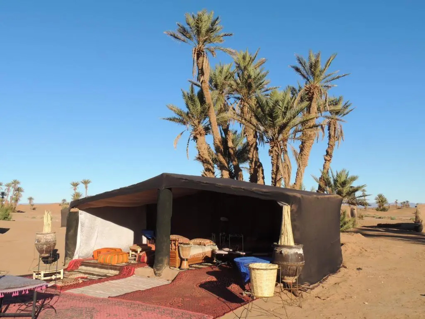 Bivouac Desert Sahara