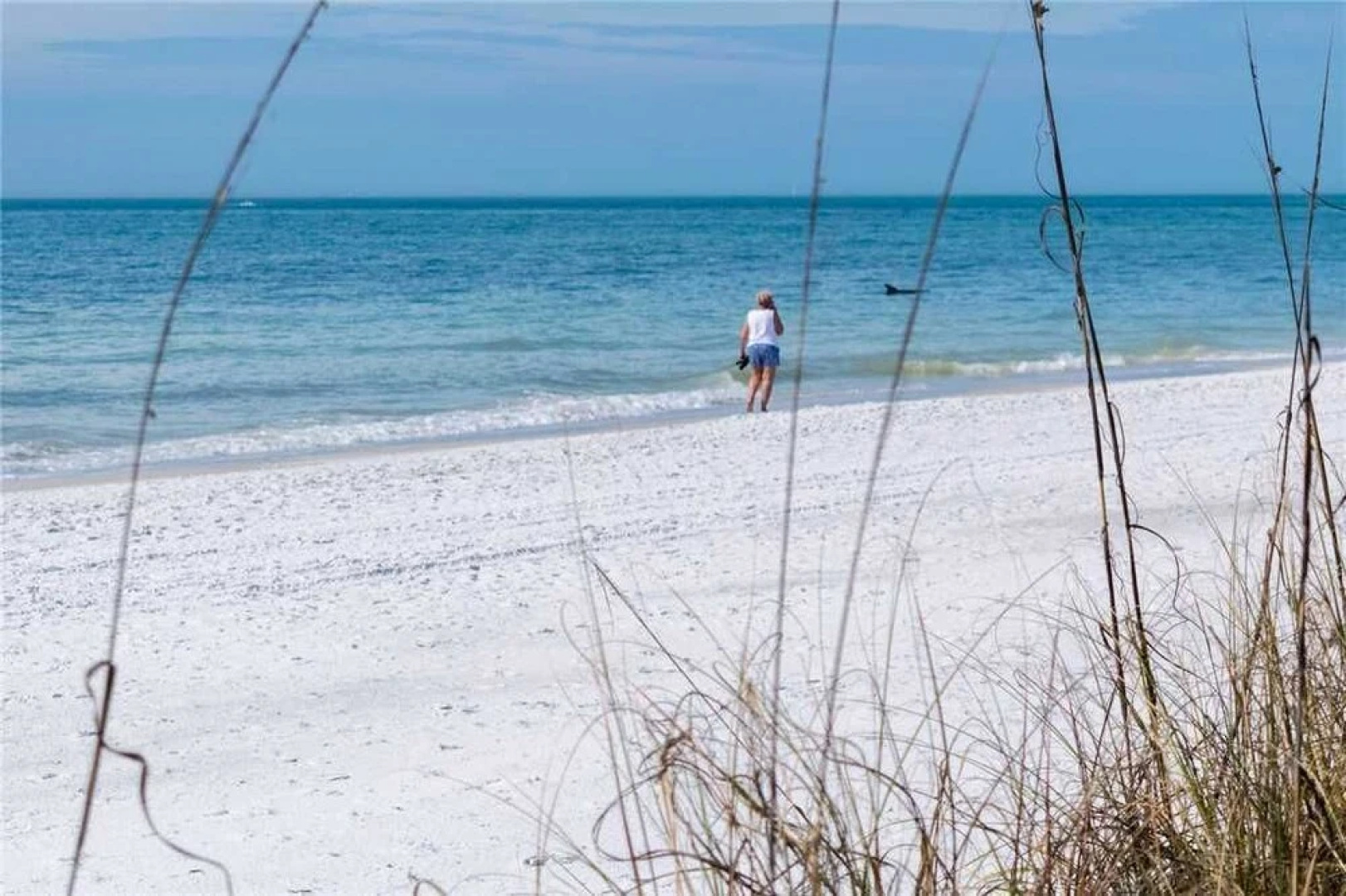Anna Maria Escape by RedAwning