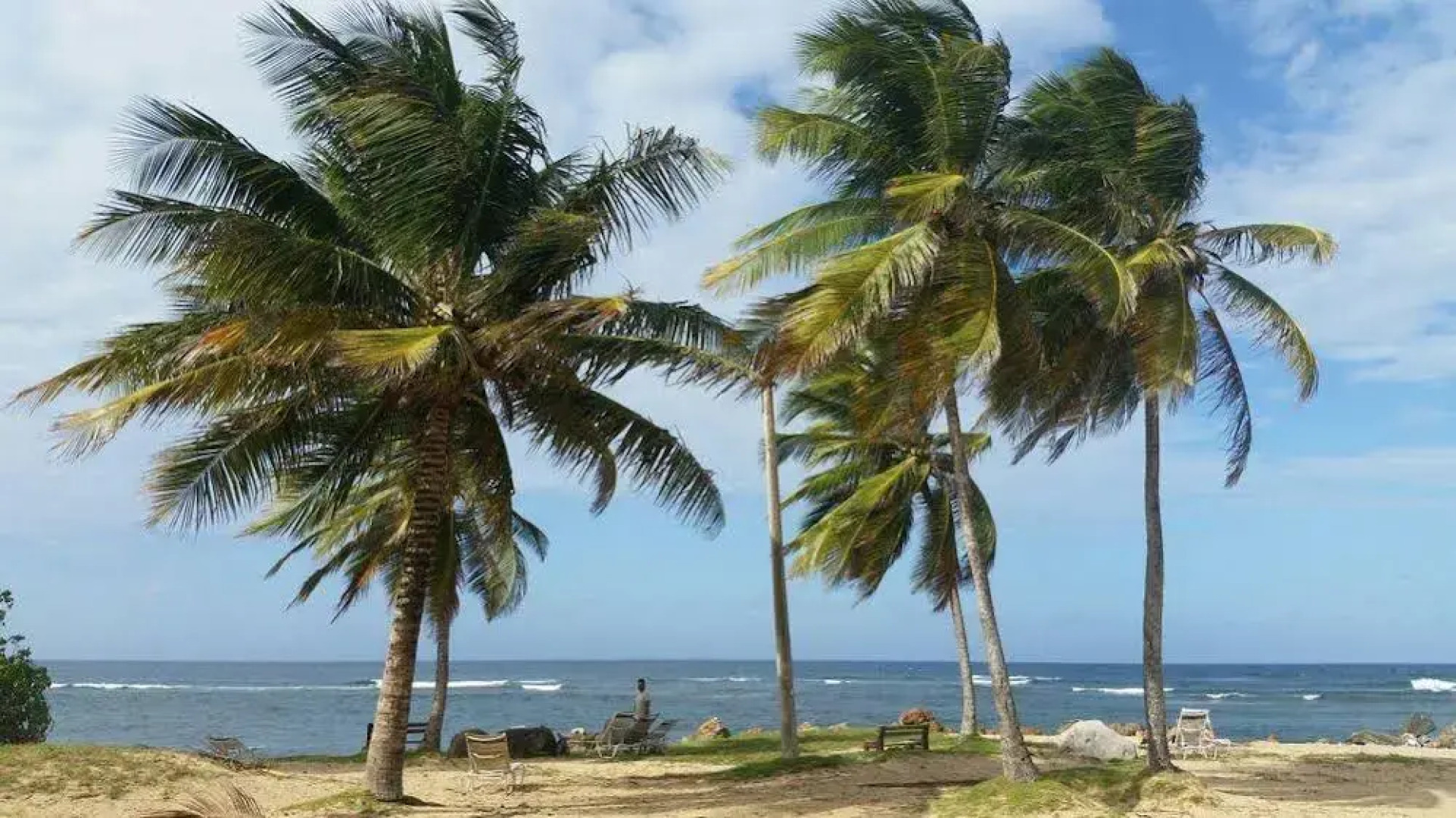 Dorado Centrally Located Guest House