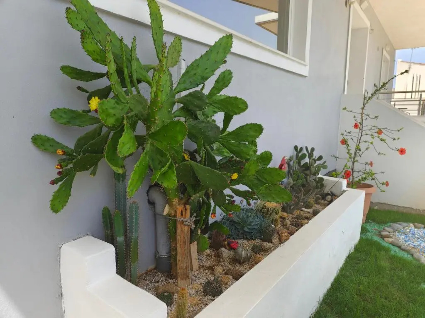 Maria's modern studio 5min from beach