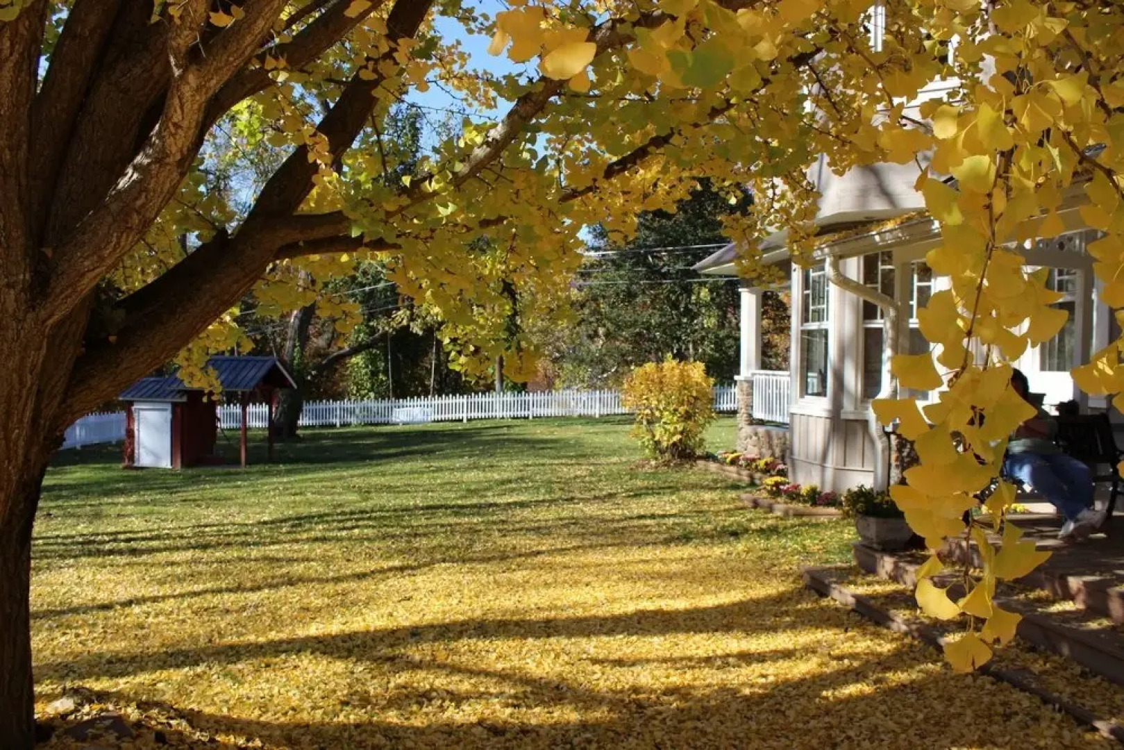 Millsap-baker Estate