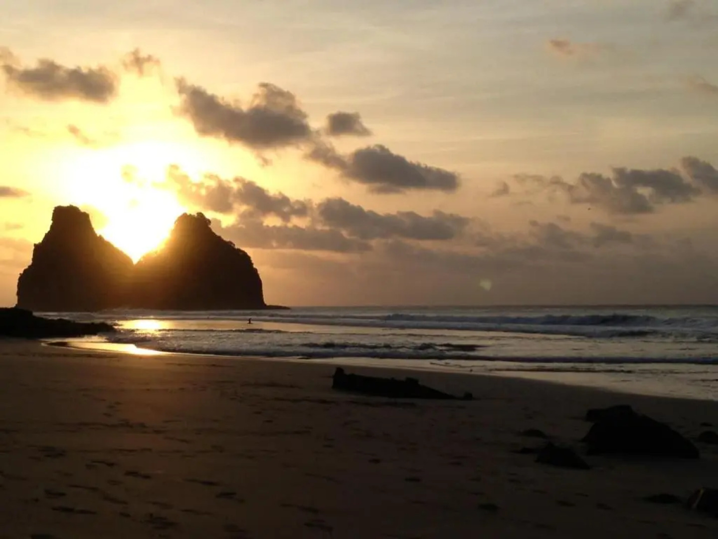 Flamboyant Residence