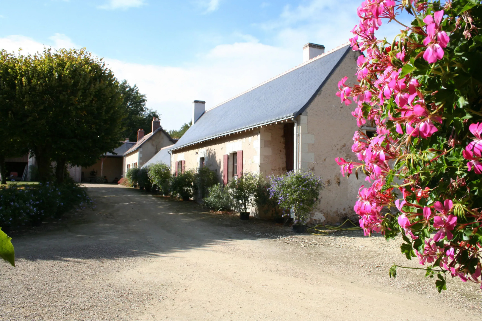 Domaine de la Bergerie