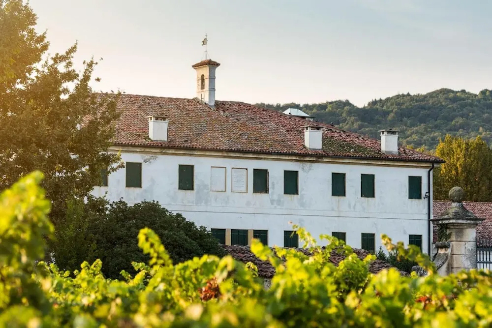 Rosmarino Apartment With two Bedrooms and one Bathroom on the Ground Floor Apartment 1