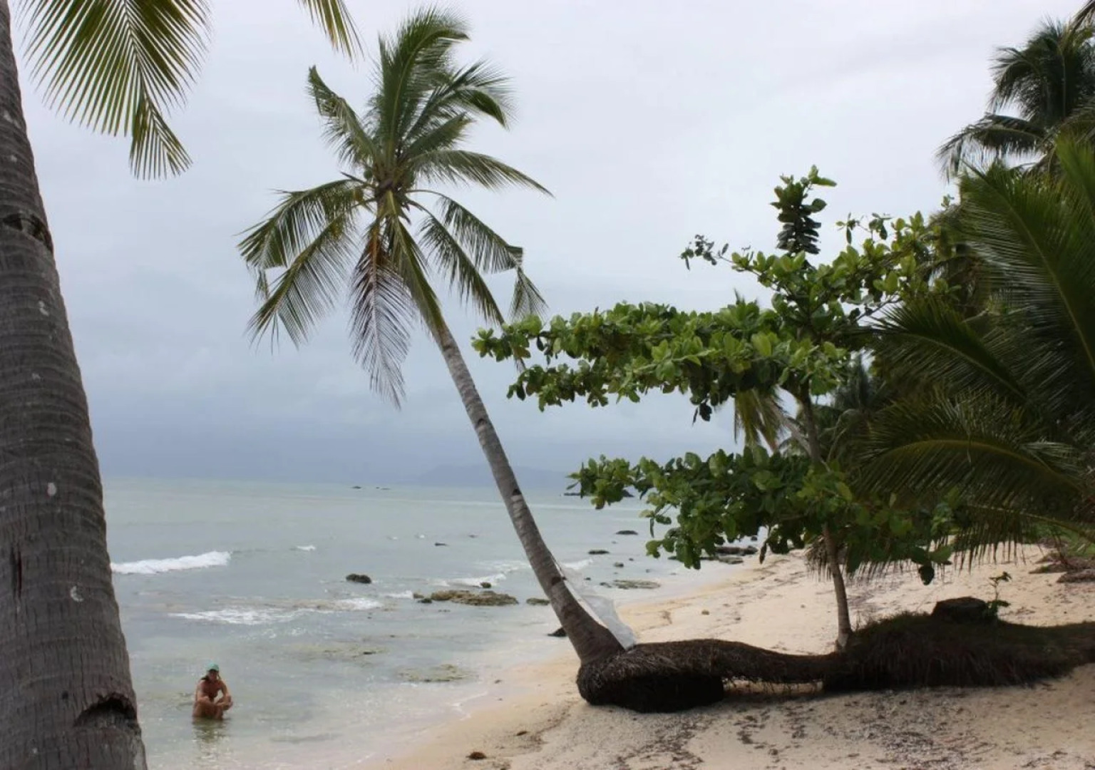 Tarzans Beach Resort