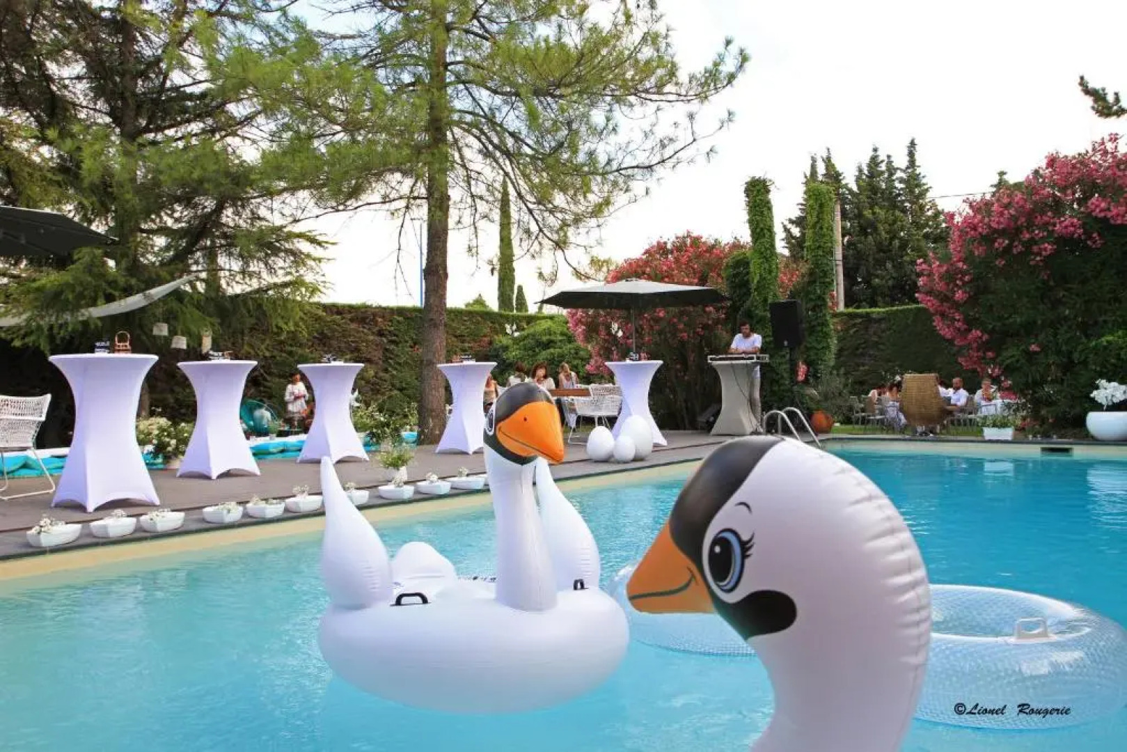 Safari Hôtel - Restaurant l'Hibiscus