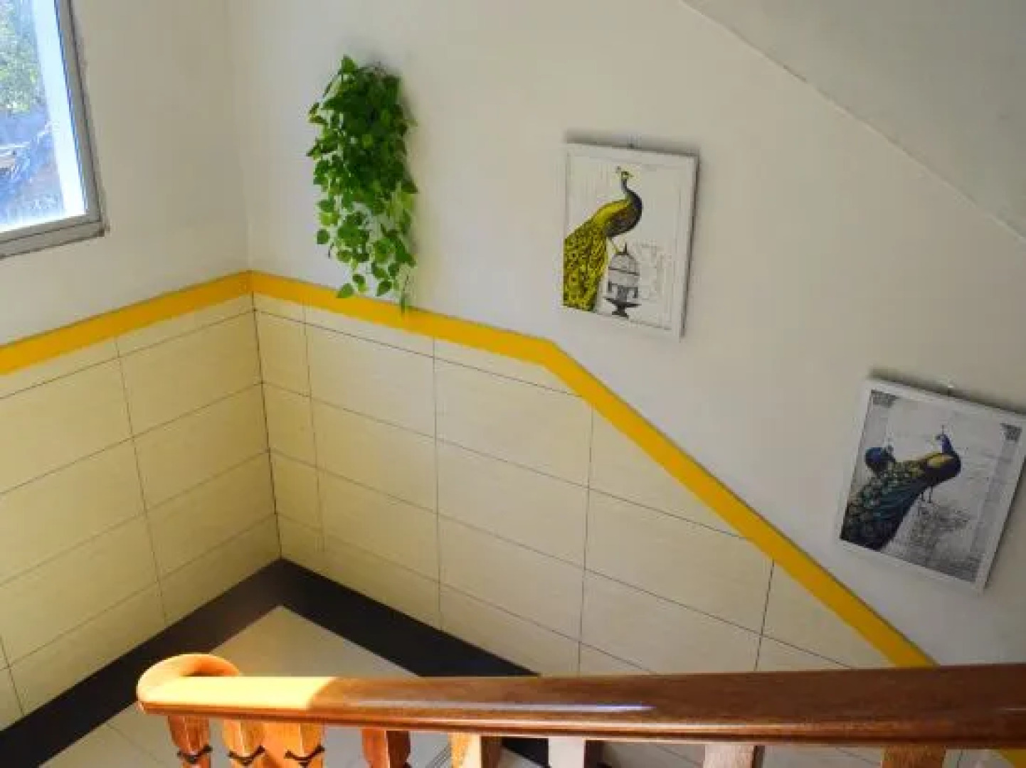 youjian yunlu Hotel in Sanqing mountain