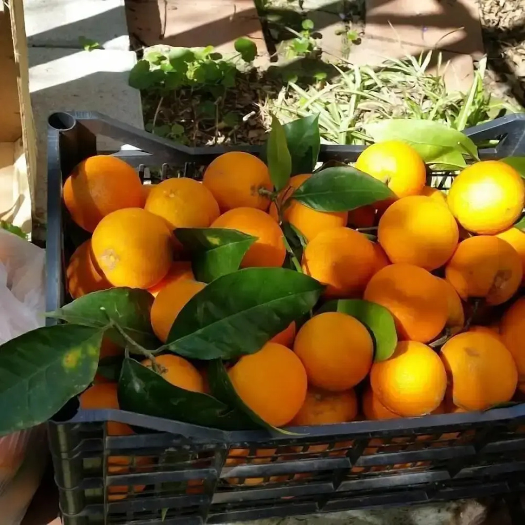 L'Aranceto Sorrentino Residence